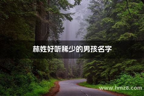 姓林好聽的名字|姓林取名字大全 林姓好听稀少的名字